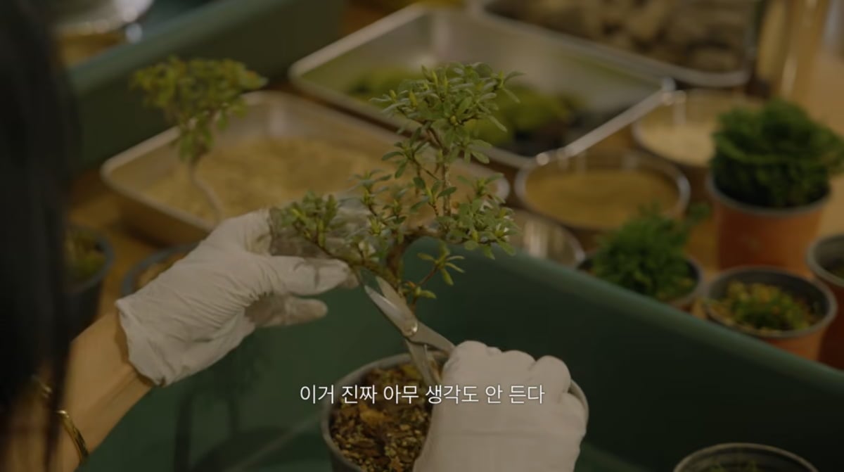 사진=유튜브 '엄정화TV'