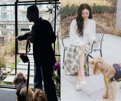 변요한♥티파니영, 동거 시작했나…같은날 '같은 강아지' 업로드