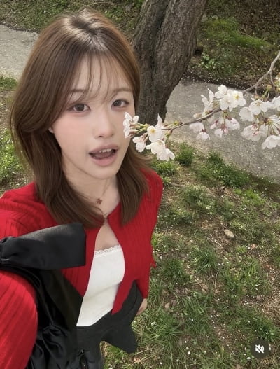 Y대 다니다 반수로 한의대 합격…김대희 딸, 벚꽃열차 탑승