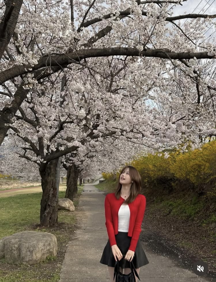 Y대 다니다 반수로 한의대 합격…김대희 딸, 벚꽃열차 탑승