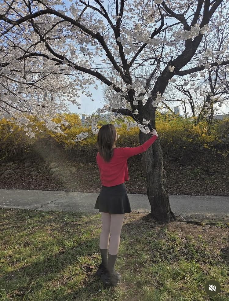 Y대 다니다 반수로 한의대 합격…김대희 딸, 벚꽃열차 탑승