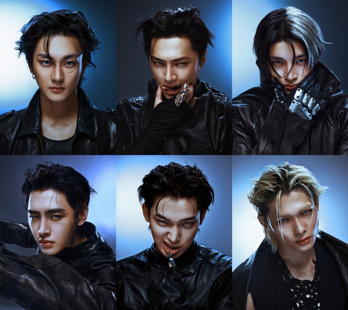 그룹 엔하이픈이 빌보드에서 인기를 끌고 있다. 
사진제공= 빌리프랩