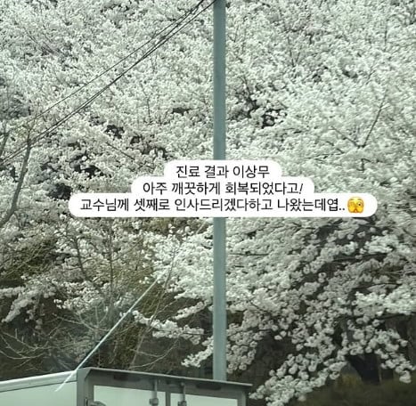 사진=초아 SNS