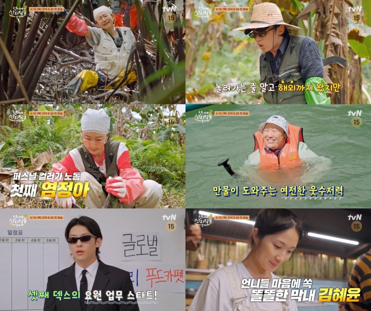 '언니네 산지직송 in 칼라페'가 사 남매의 찐 가족 케미와 함께 물 건너 산지 직송될 자연산 웃음을 예고했다./사진제공=tvN