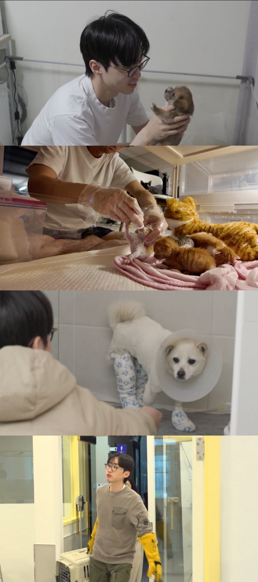 '전지적 참견 시점'에 'K-동물아버지'로 화제를 모았던 이강태가 다시 한번 등판한다./사진=MBC 제공