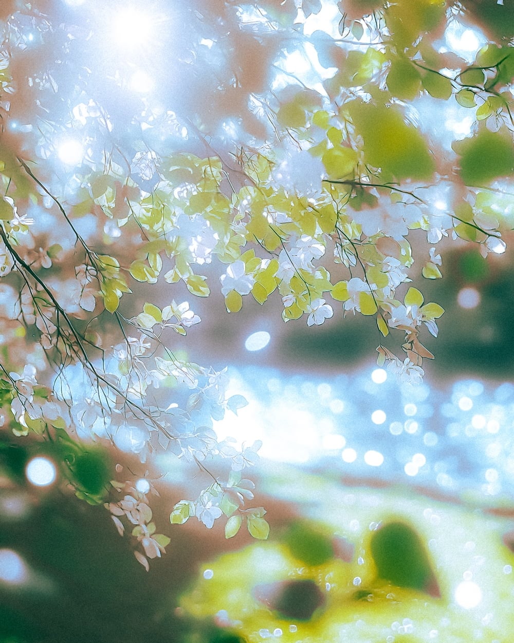 [사진 = 아메바컬쳐 제공]