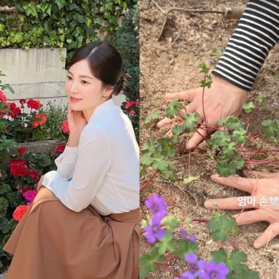 송혜교, 이렇게 단아할 일인가…"최고의 여자" 母와 봄 맞이 데이트