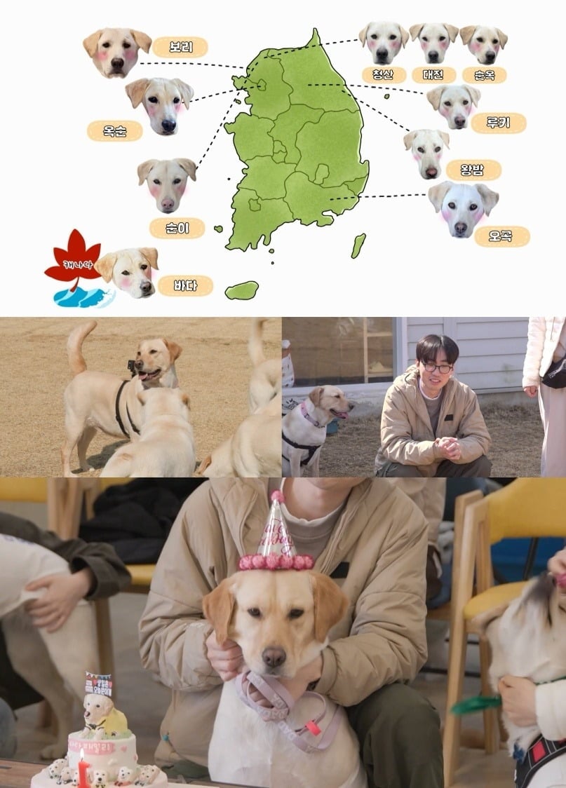 다다 10남매의 돌잔치가 열렸다./사진제공=MBC