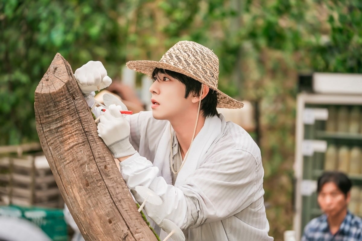 안효섭이 매튜 리 캐릭터로 겉바속촉 소보로 빵 같은 매력을 선보인다.사진=SBS 제공