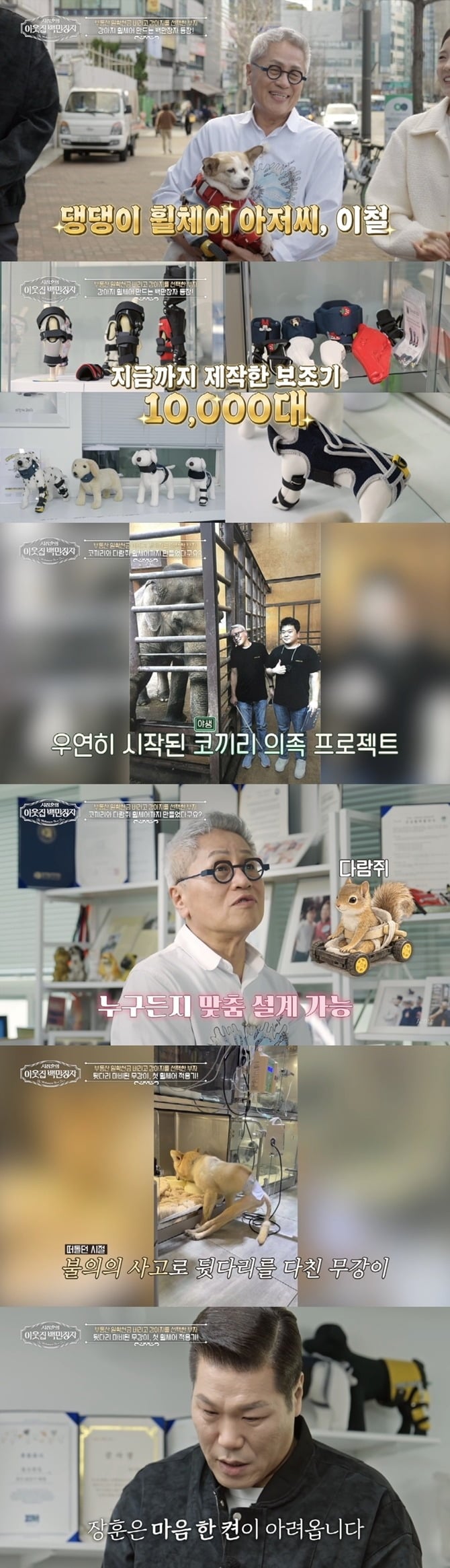 서장훈이 뒷다리 마비 유기견의 휠체어 착용에 눈물을 쏟는다. /사진제공=EBS