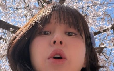 歌手ウンガウン、ラジオの合間に一人で桜を楽しむ