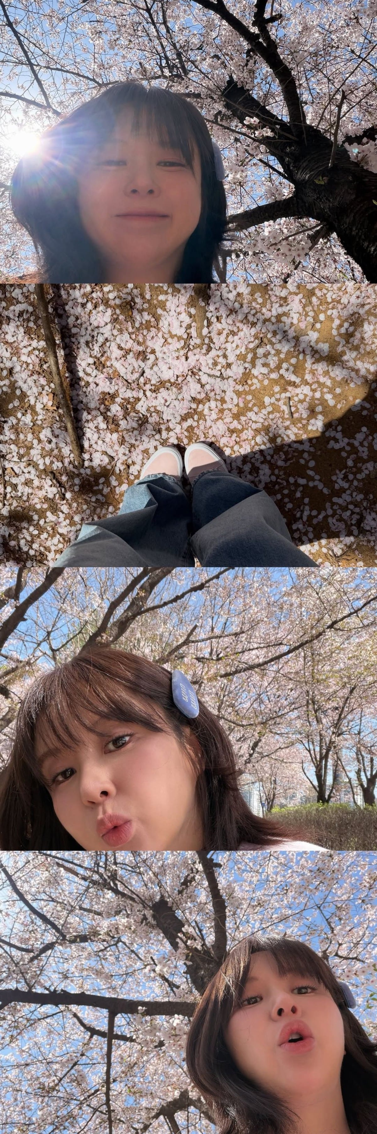 가수 은가은이 벚꽃놀이 사진을 공개했다. / 사진=은가은 SNS