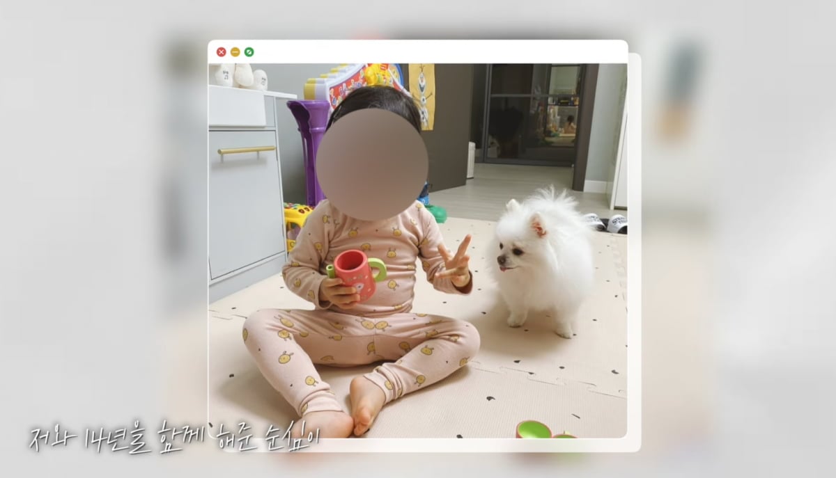 차봄 / 사진 = 한채아 유튜브 채널