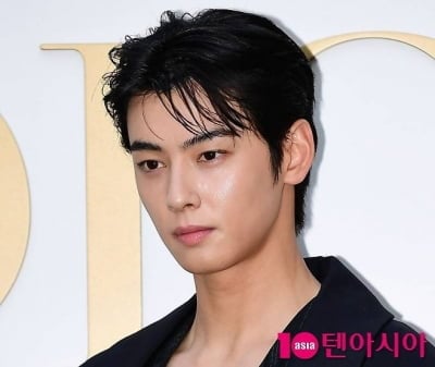 200억 낼 돈 있었던 차은우, 군 복무 문제까지 확산되나…'보직 해임' 민원 등장