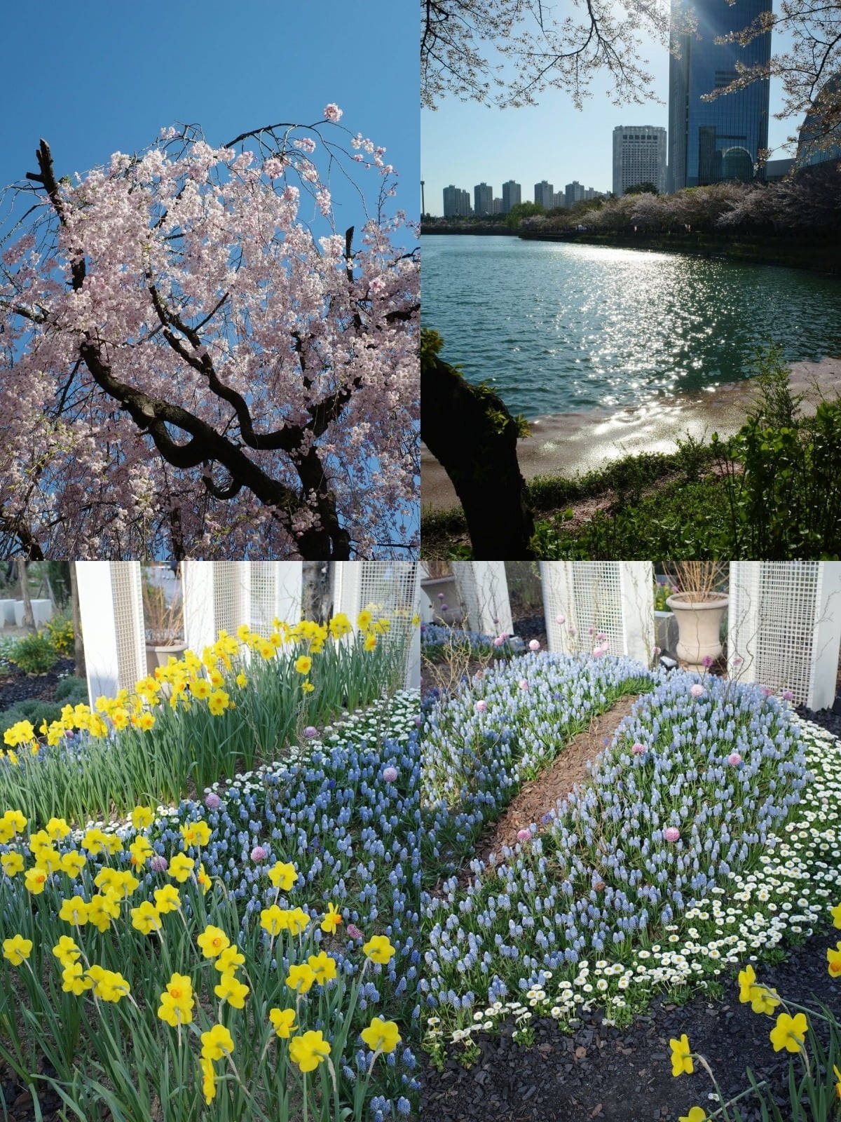 이민우 아내 이아미가 첫째 딸과 봄꽃놀이를 나섰다. / 사진=이아미 SNS