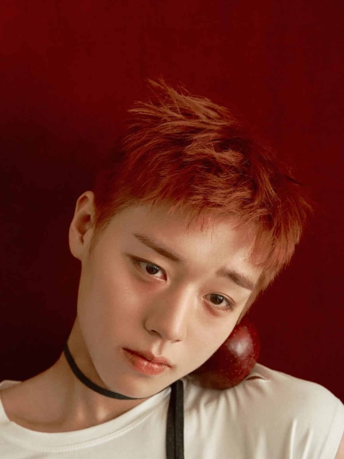 사진 = 박지훈 인스타그램