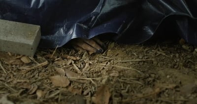 '건물주' 김준한, 사망했다…정수정 감싸안은 후 옥상서 추락→끝내 심은경 체포 엔딩 [종합]