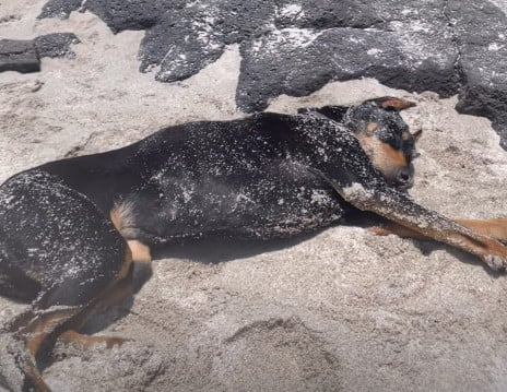 사진=배정남 SNS