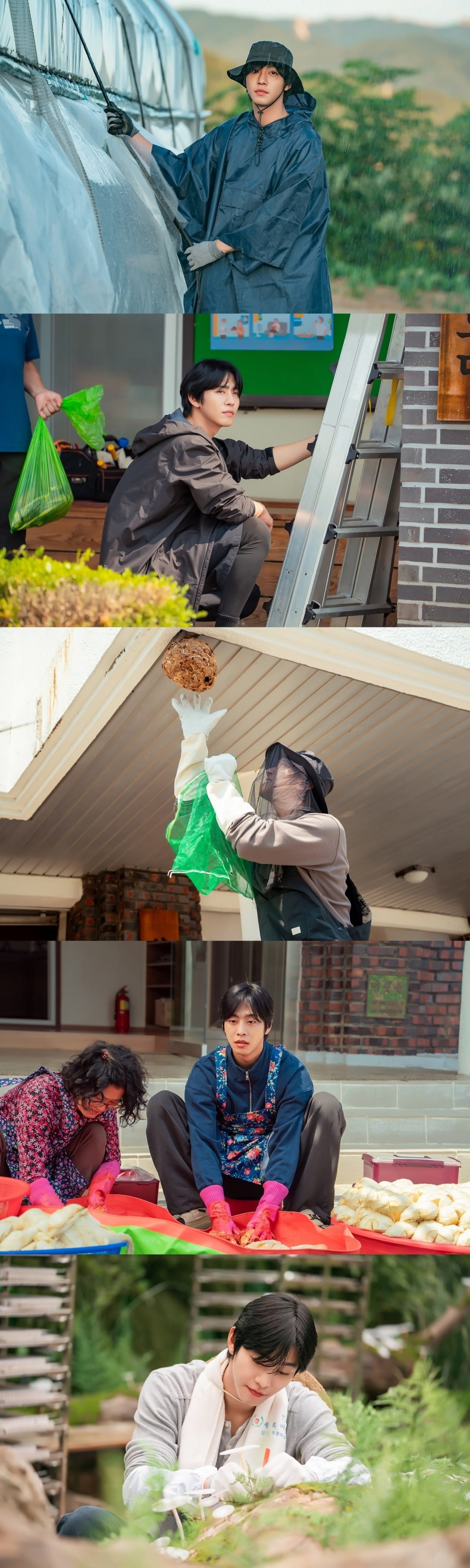 훤칠한 청년 농부 안효섭의 다이내믹한 농촌 라이프가 온다./사진제공=SBS