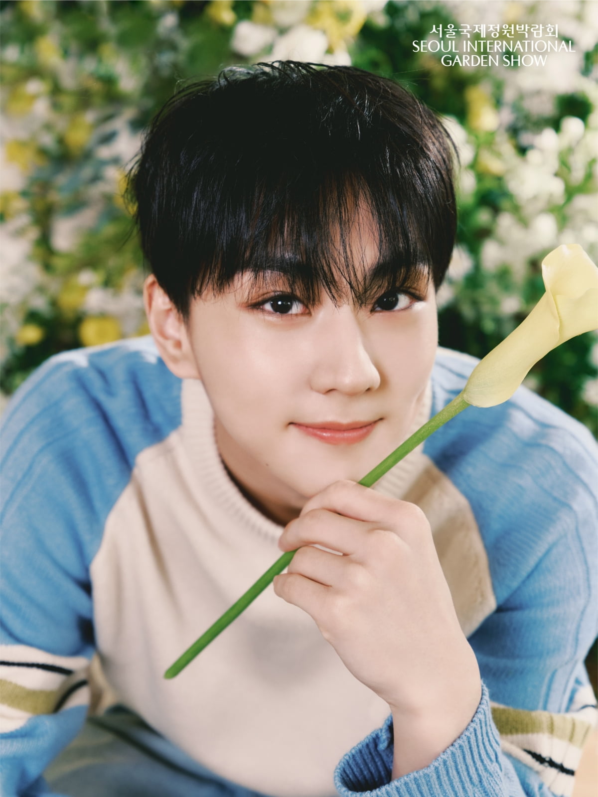 그룹 엔하이픈 정원/사진제공=서울특별시