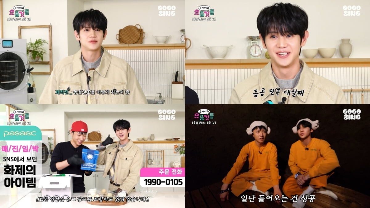 사진 = '고고씽(GOGOSING)' 유튜브 채널 캡처