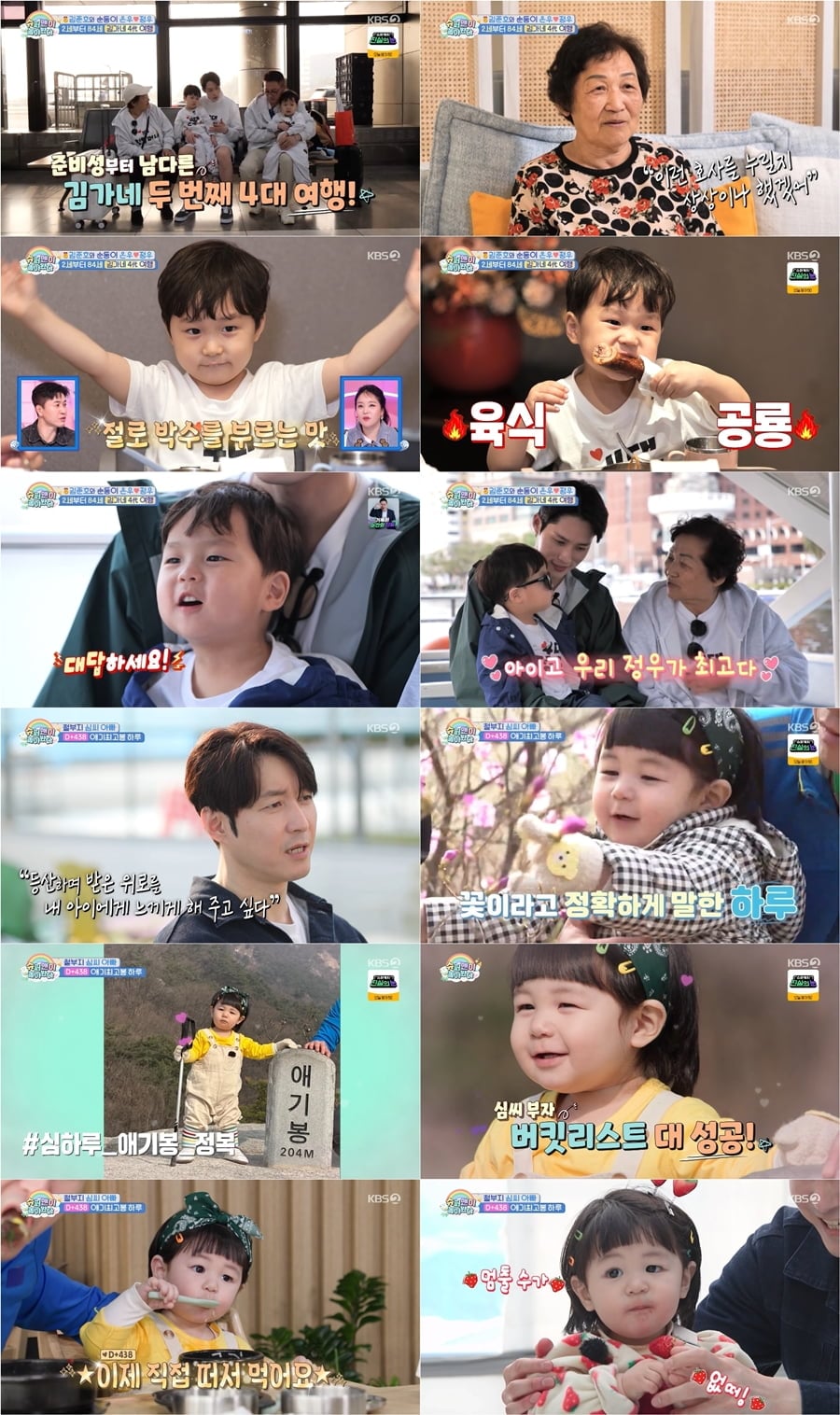 '사야♥' 심형탁 子 하루, 2살에 애기봉 등반 성공…"다음에는 에베레스트" ('슈돌')[종합]