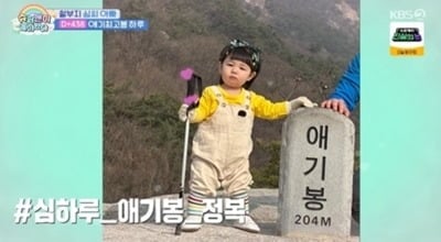 '사야♥' 심형탁 子 하루, 2살에 애기봉 등반 성공…"다음에는 에베레스트" ('슈돌')[종합]