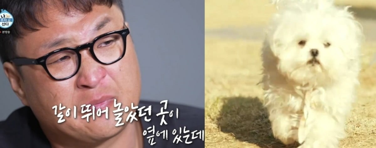 사진 = MBC ‘나 혼자 산다’