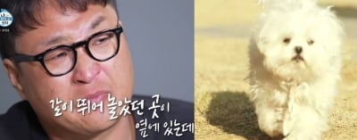 꽃분이 유품 품고 446km…구성환 오열, "잘 갔지? 나중에 보자" ('나혼산')