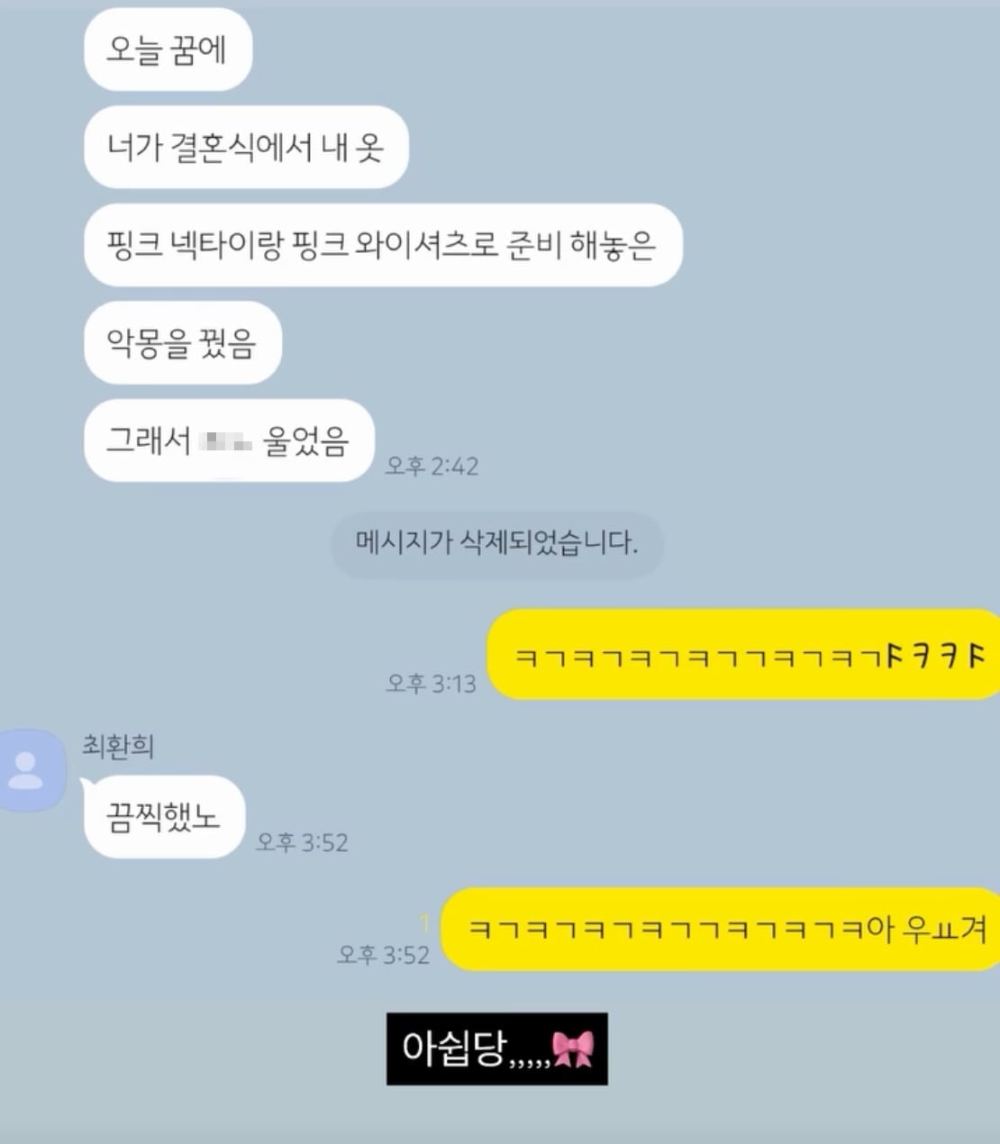 메시지 캡처 / 사진 = 최준희 SNS