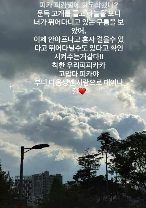 사진=이상화 SNS