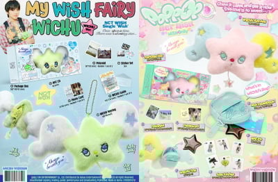 K-팝 굿즈 1조 시대, 당신의 팬심은 얼마입니까