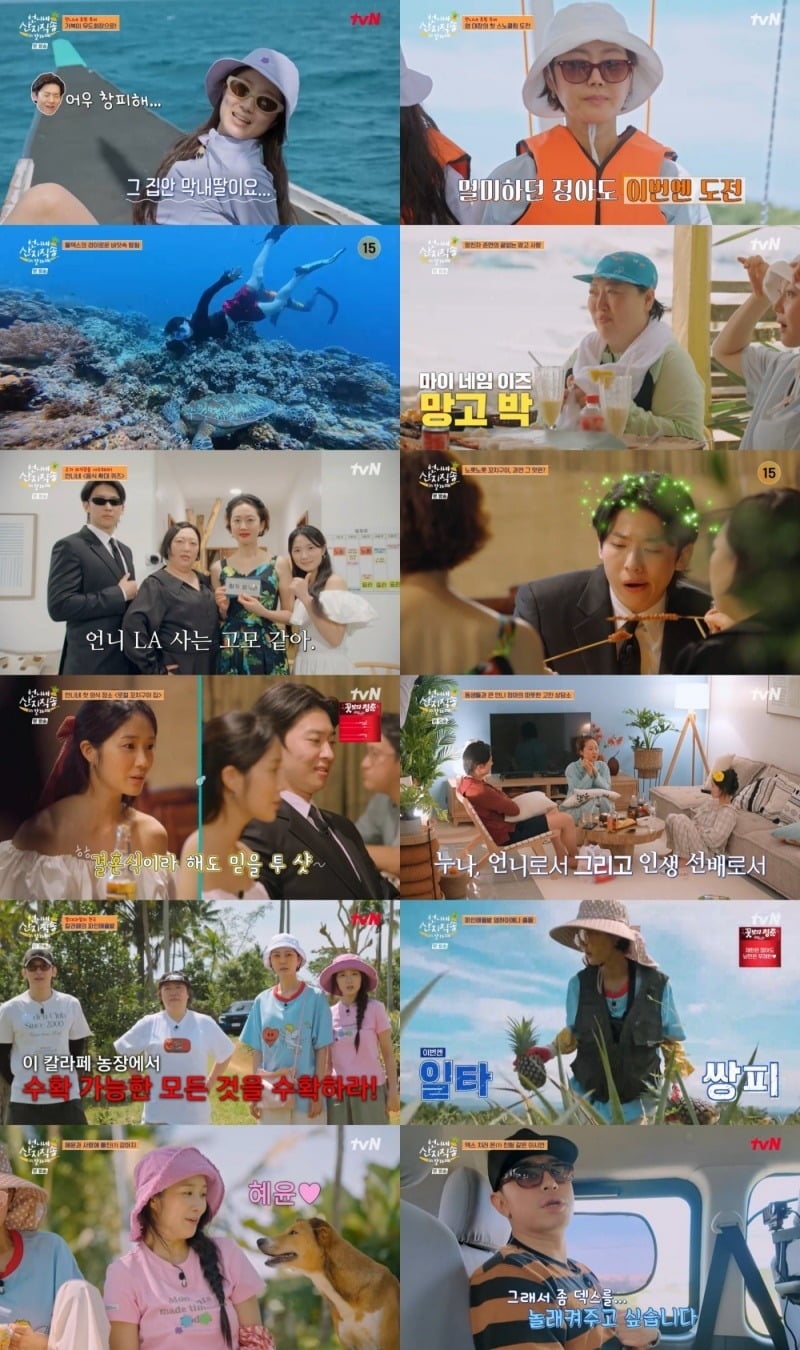 이시언이 깜짝 게스트로 등장을 예고했다./사진제공=tvN