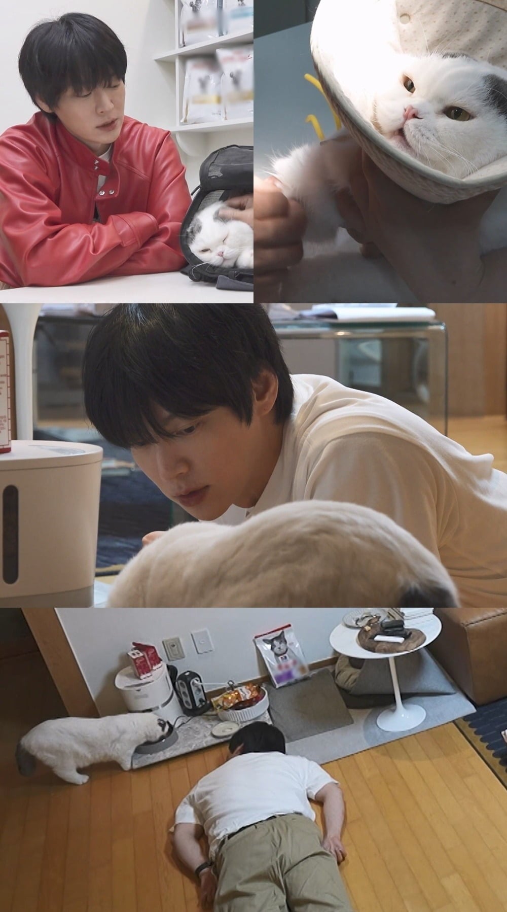 안재현이 안주를 데리고 병원을 찾는다./사진제공=MBC