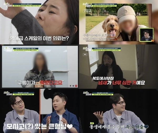 반려견 사망 미스터리가 공개된다./사진제공=채널A