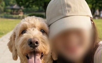 반려견 사망사건 터졌다, "죽었다" 문자만 남긴 채 잠적…"사체 냄새 아니냐" ('탐비')