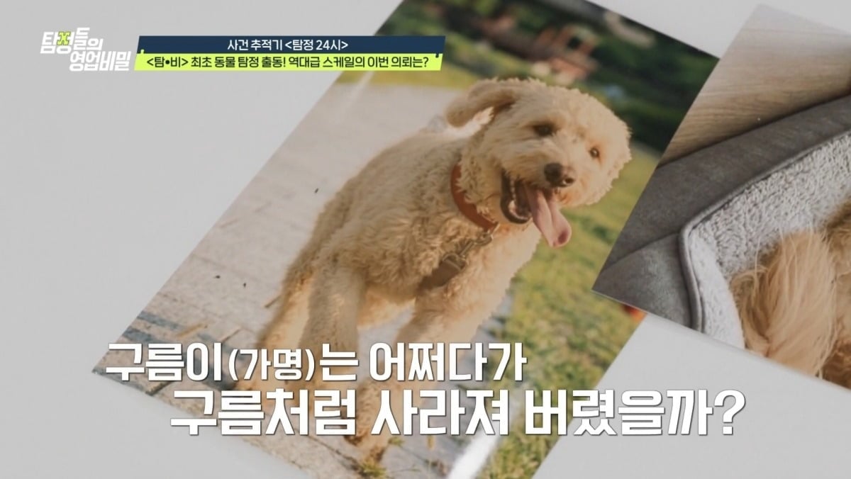 지난 4일 '탐정들의 영업비밀'이 방송됐다. / 사진제공=채널A