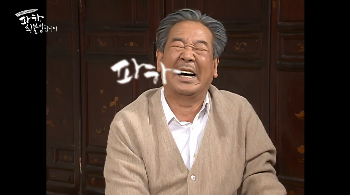 사진=MBC 다큐 '파하, 최불암입니다'