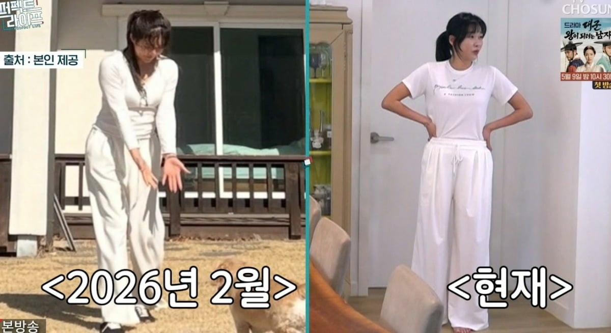 사진 = TV조선 '퍼펙트 라이프'
