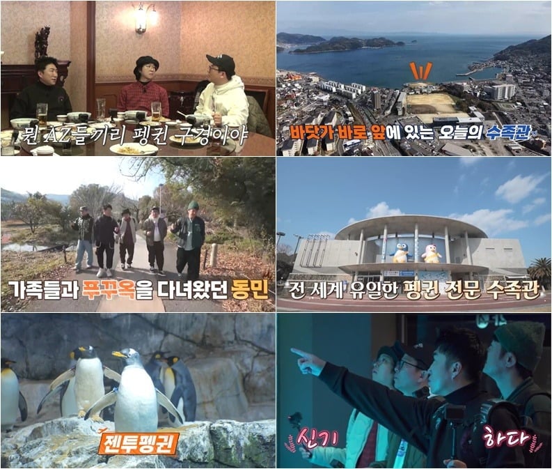 '독박투어4' 49화 프리뷰가 공개됐다. / 사진제공=채널S, SK브로드밴드
