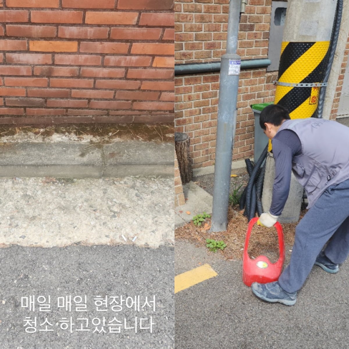 / 사진 = 기은세 SNS