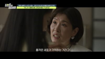 아들뻘 스폰남에게 불륜 사주했다…"대학 총장 손녀와 재혼해" 막장 시모에 충격 ('탐비')[종합]
