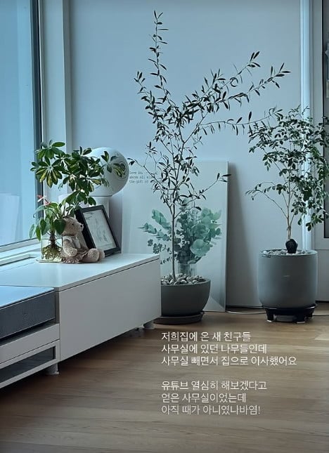 사진=남보라 SNS