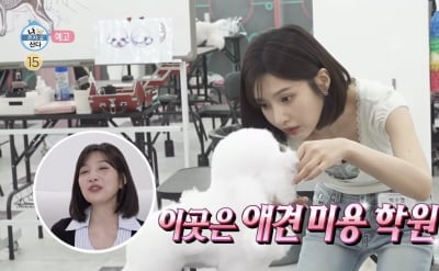 조이, 1년 9개월 공백기 끝에 '애견 미용사' 새 출발 알렸다…"미래 진지하게 고민해"