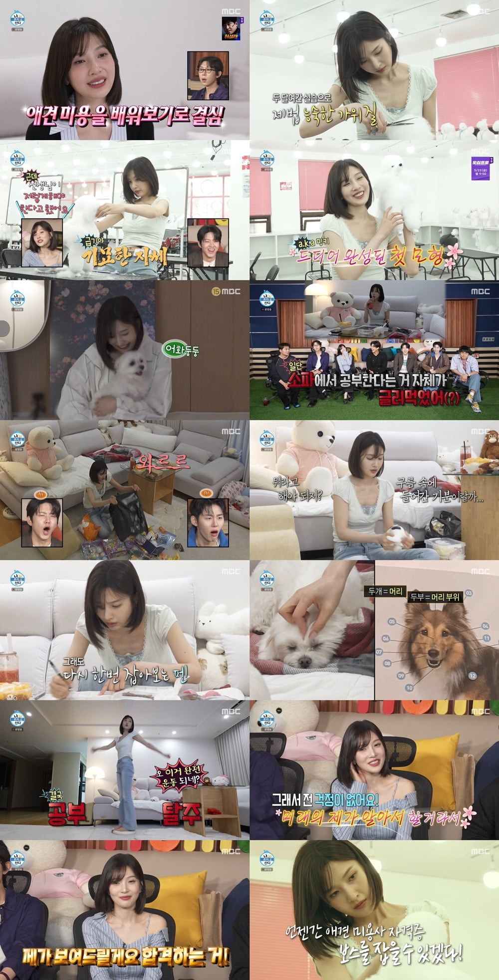 '크러쉬♥' 조이, 공개 열애 6년차에 속내 밝혔다…은퇴 후 '제2의 삶' 준비 "언젠가" ('나혼산')