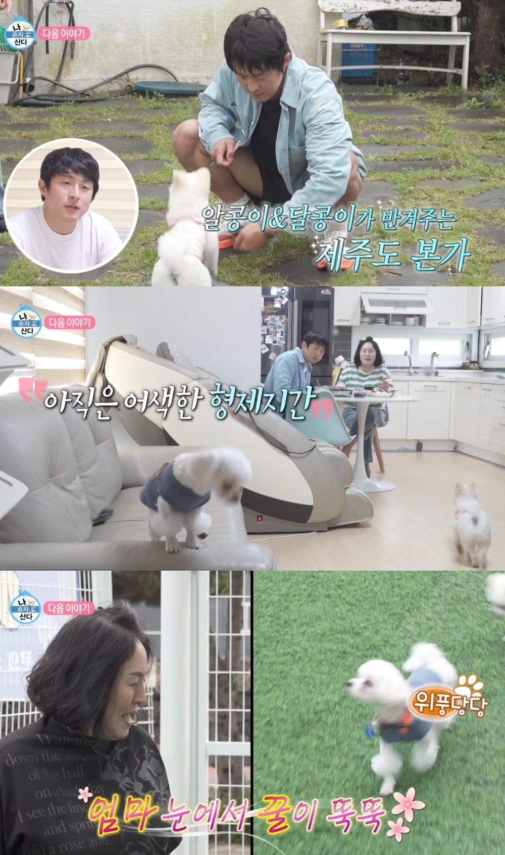 사진 = MBC ‘나 혼자 산다’ 