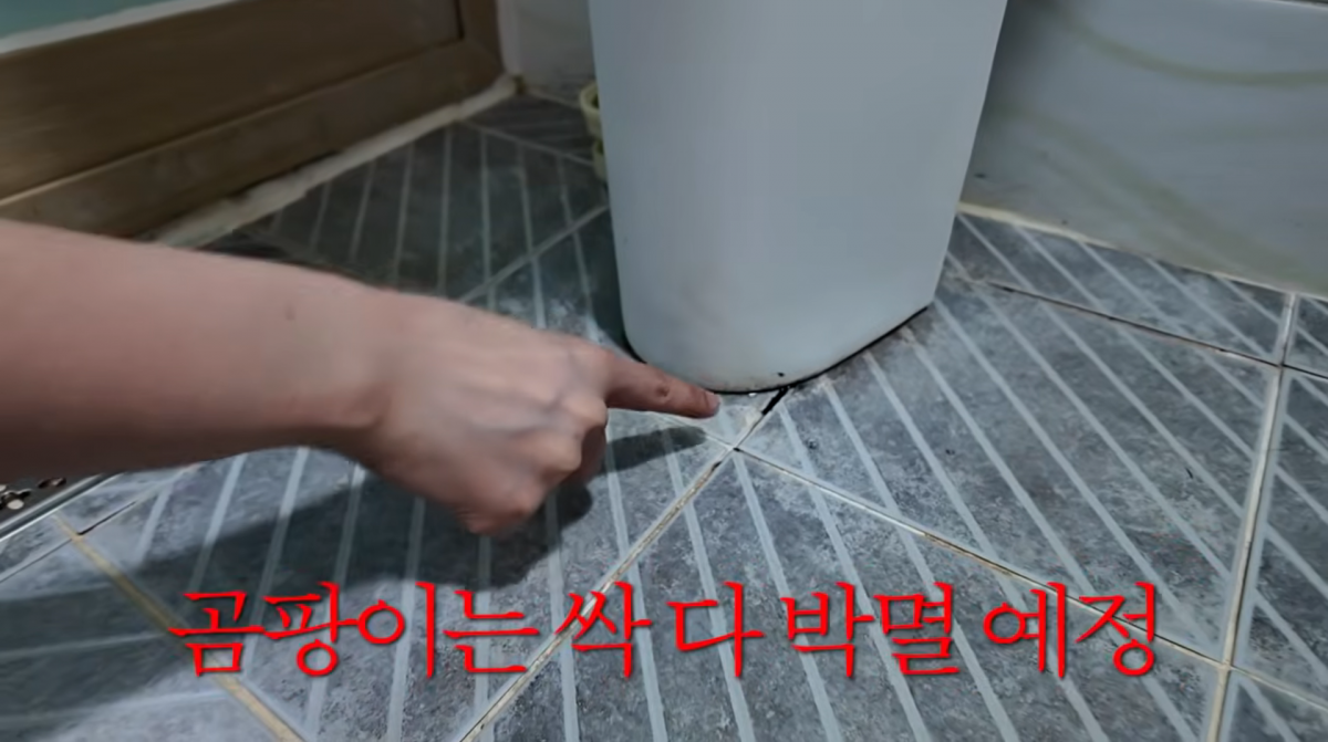 사진=박경혜 유튜브