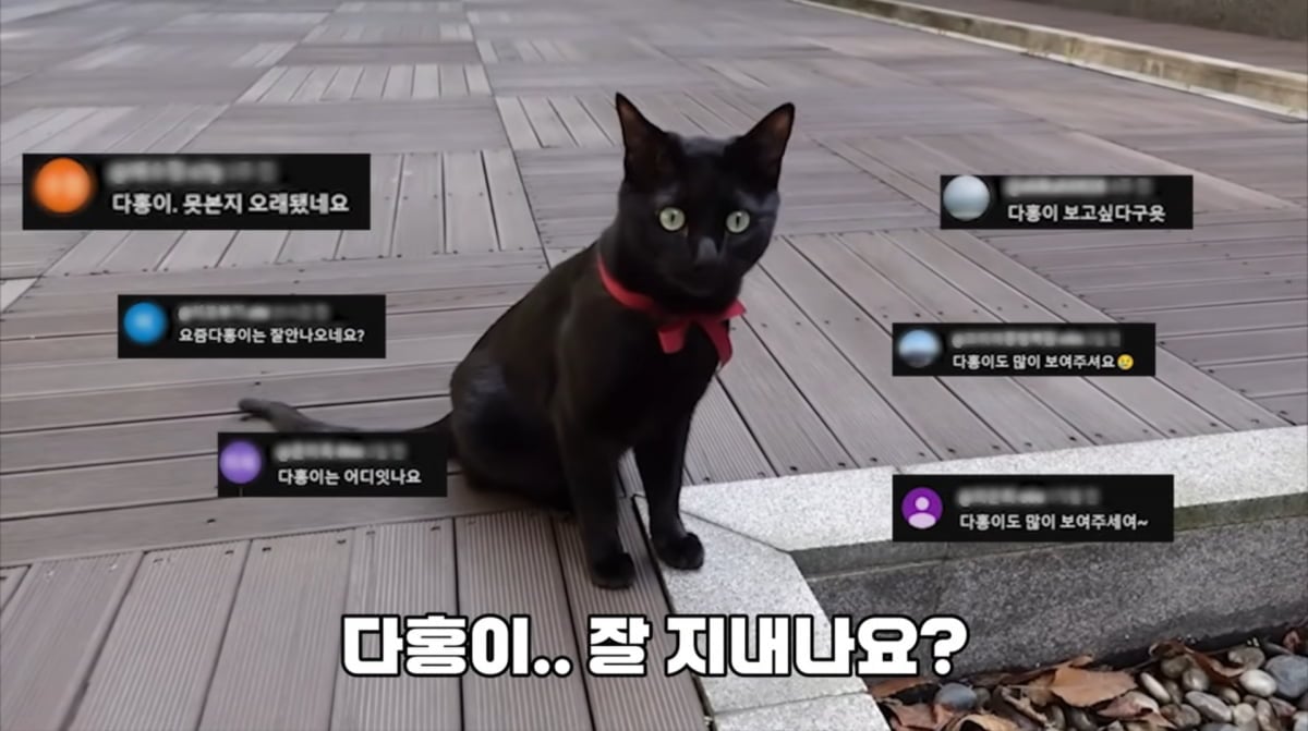 사진=박수홍 유튜브