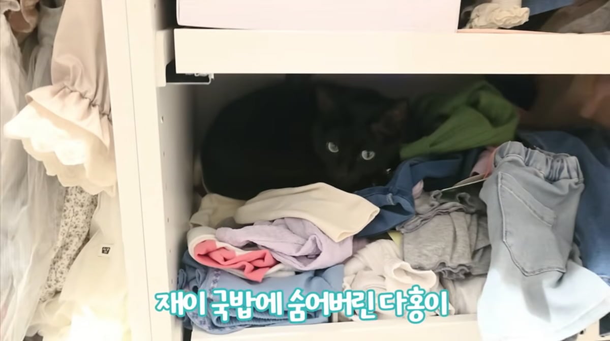 사진=박수홍 유튜브