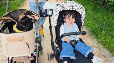 박수홍 살려준 고양이 '다홍이' 근황…"함께 딸 육아, 고생 많다"('행복해다홍')